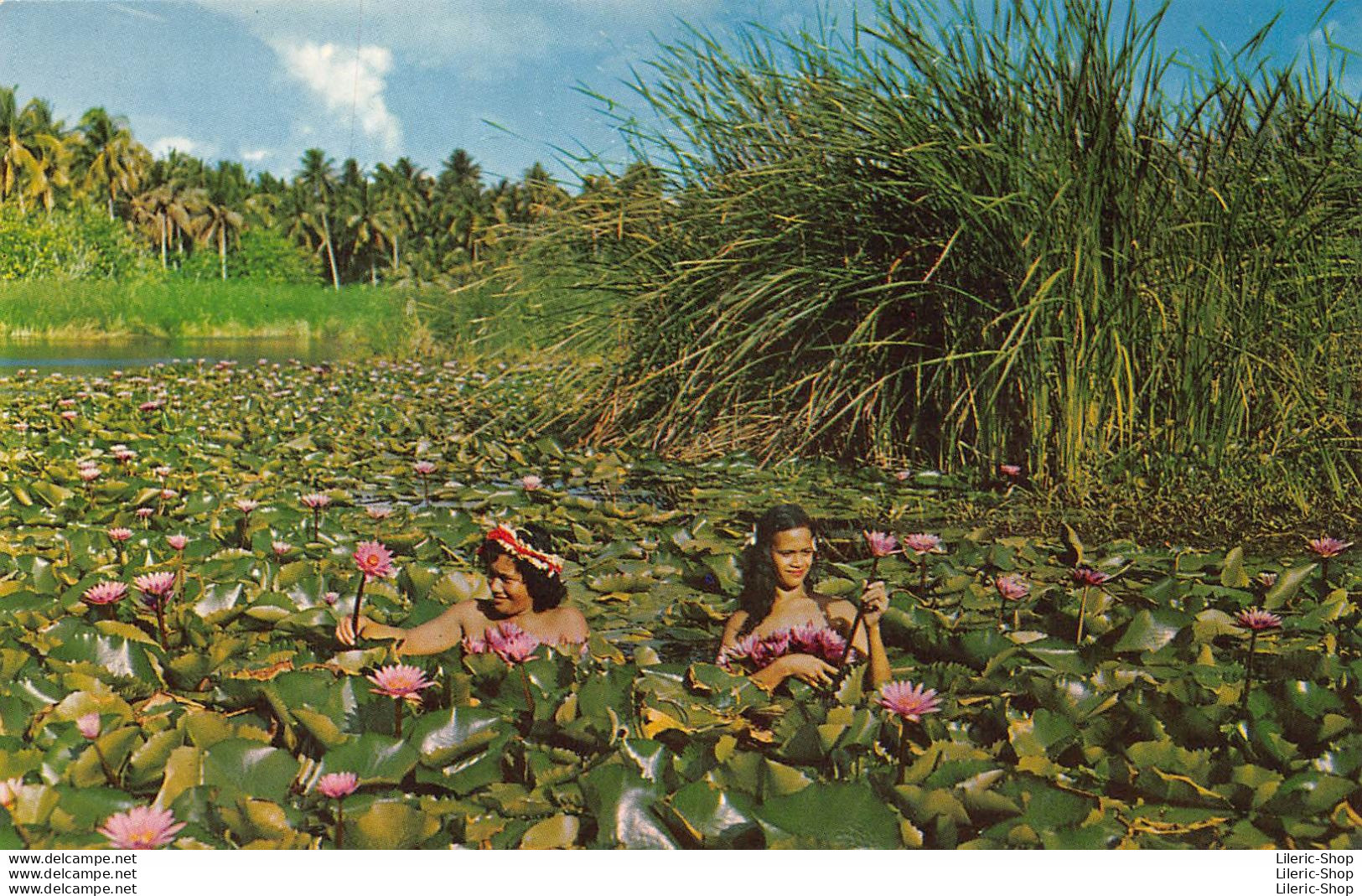POLYNESIE FRANÇAISE - TAHITI - " MOOREA " LAC TEMAI - " Sincere Photo Cinema, Papeete, Tahiti  - Tahiti