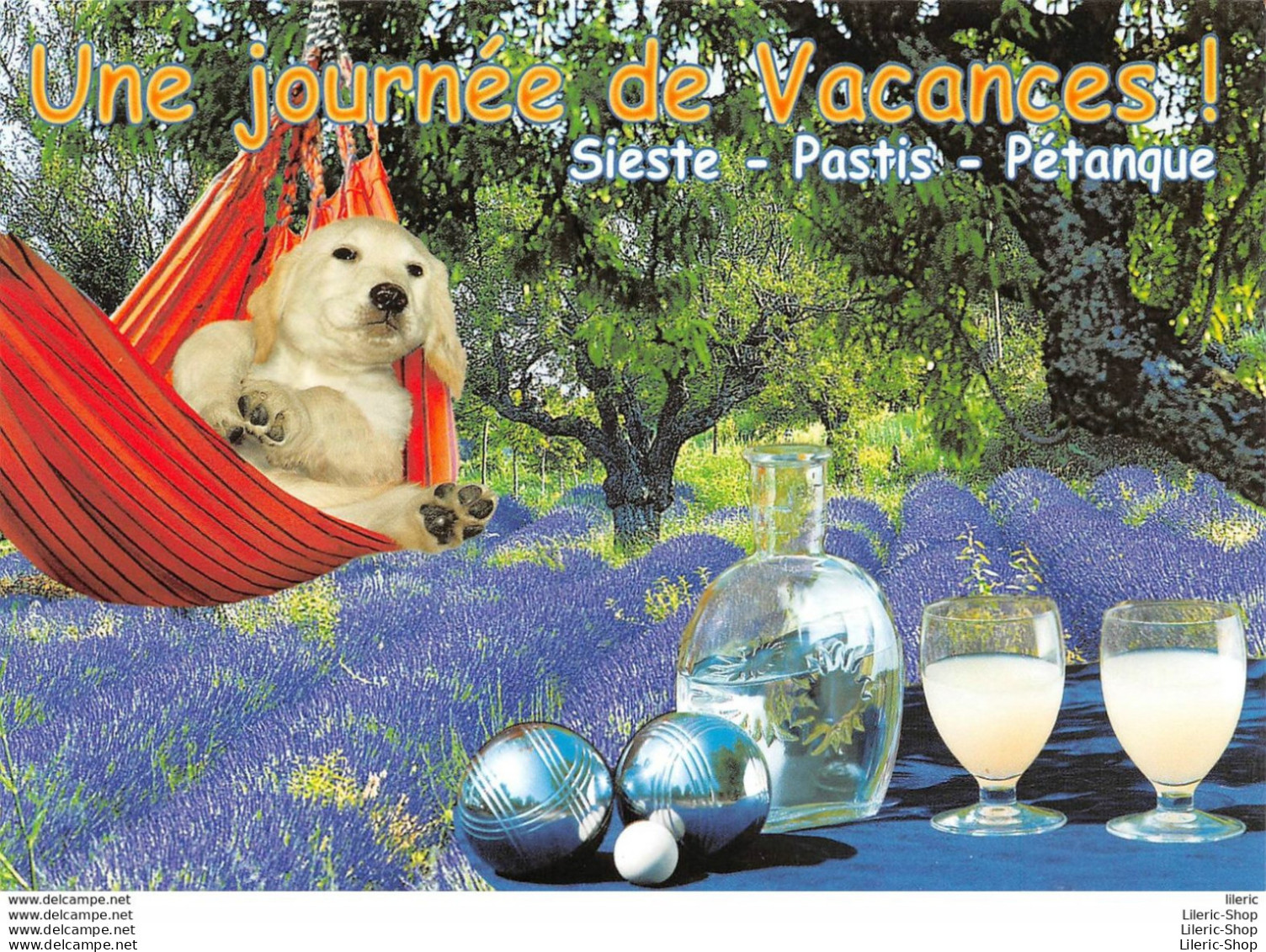 CHIEN DOG # APÉRO # HUMOUR - UNE JOURNÉE DE VACANCES ! SIESTE - PASTIS - PÉTANQUE. - Boule/Pétanque