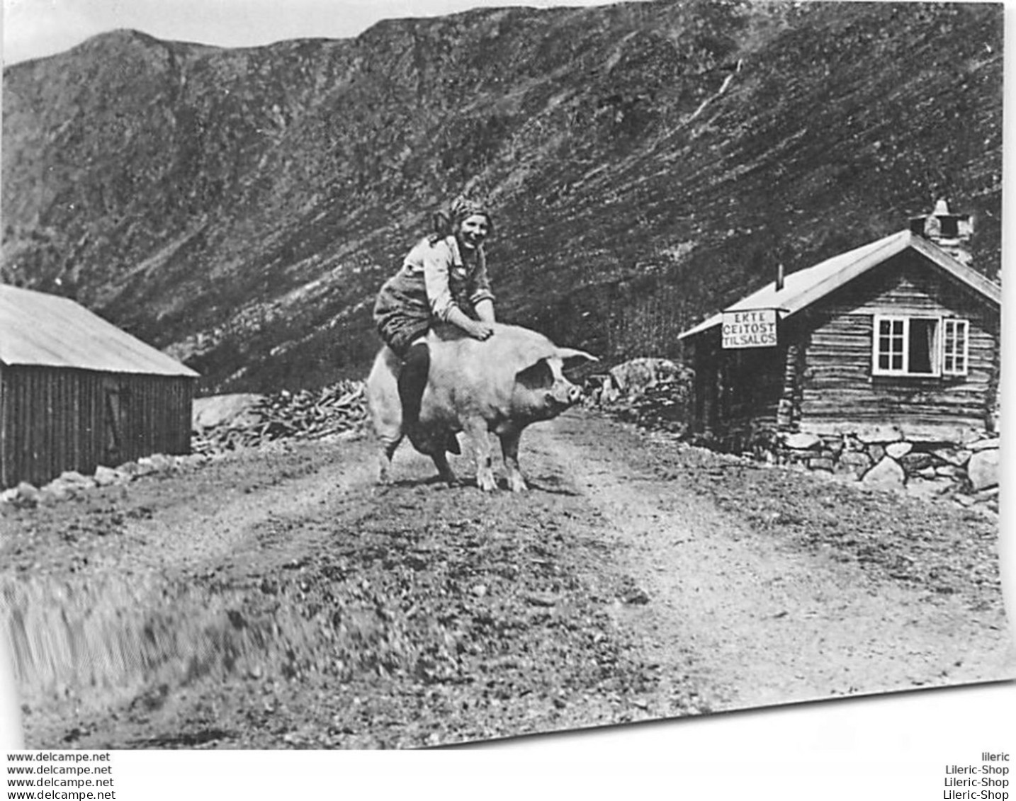 ± 1960 SETERJENTENS FRIDAG MED RIDETUR PÅ GRIS BUTIK EKTE GEITOST TIL SALGS - Foto NORMANN - Norway