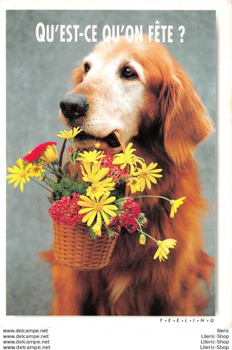 CPM HUMOUR COMIC " QU'EST CE QU'ON FÊTE ? " # CHIEN # DOG # FLEURS # FLOWERS - PHOTO SHARON EIDE - Dogs