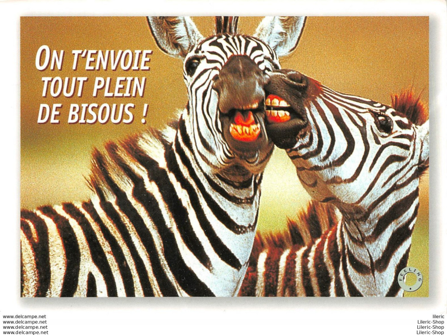 CPM HUMOUR COMIC " ON T'ENVOIE TOUT PLEIN DE BISOUS ! " # ZÈBRE # ZEBRA # - PHOTO WISNIEWSKI - Zèbres