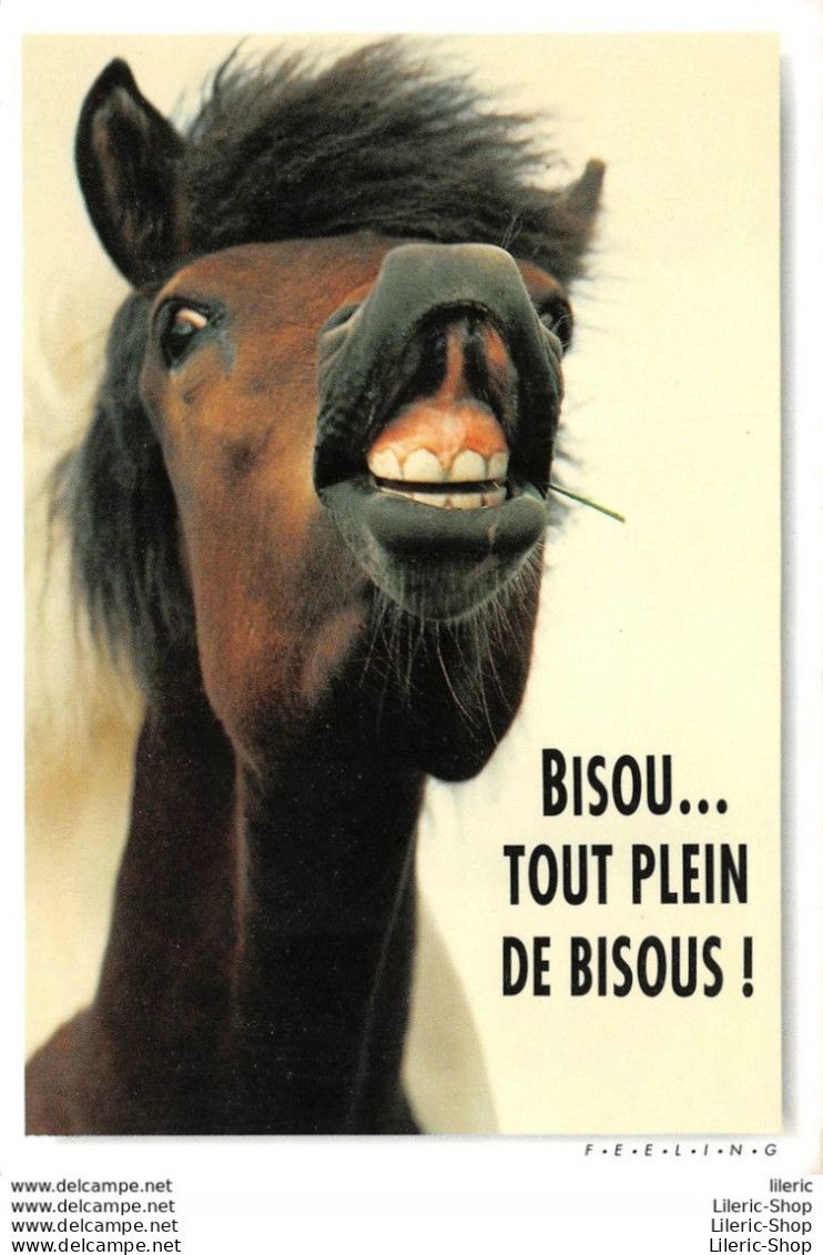 CPM HUMOUR COMIC " BISOU... TOUT PLEIN DE BISOUS ! " # CHEVAL # HORSE #  PFERD # CAVALLO # PHOTO WISNIEWSKI-ZEFA - Pferde