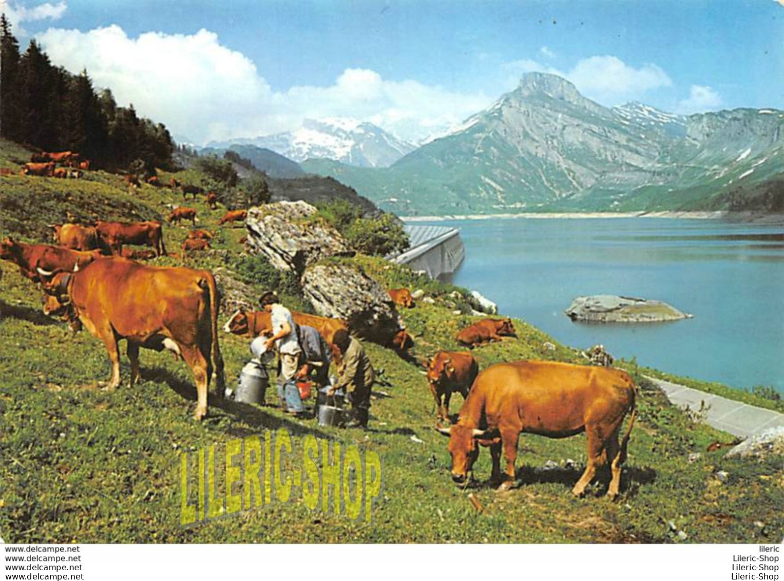 BEAUFORTIN (74) CPSM ±1970 Alpage Au Barrage De  Roselen - La Traite Des Vaches Cows # Agriculture - Kühe