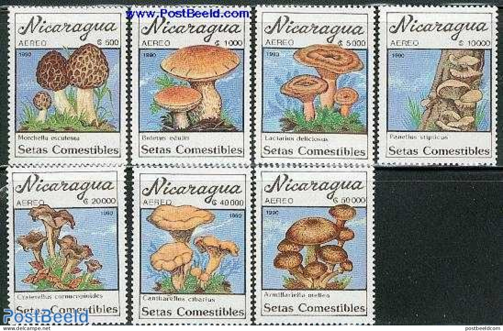 Nicaragua 1990 Mushrooms 7v, Mint NH, Nature - Mushrooms - Champignons