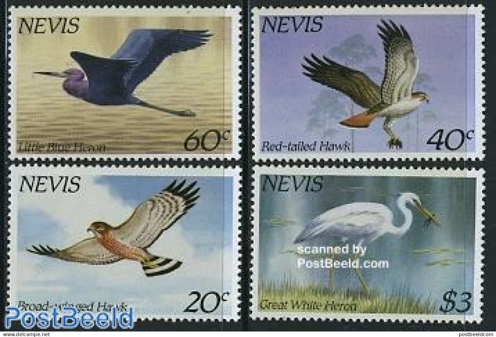 Nevis 1985 Birds 4v, Mint NH, Nature - Birds - Birds Of Prey - St.Kitts Und Nevis ( 1983-...)