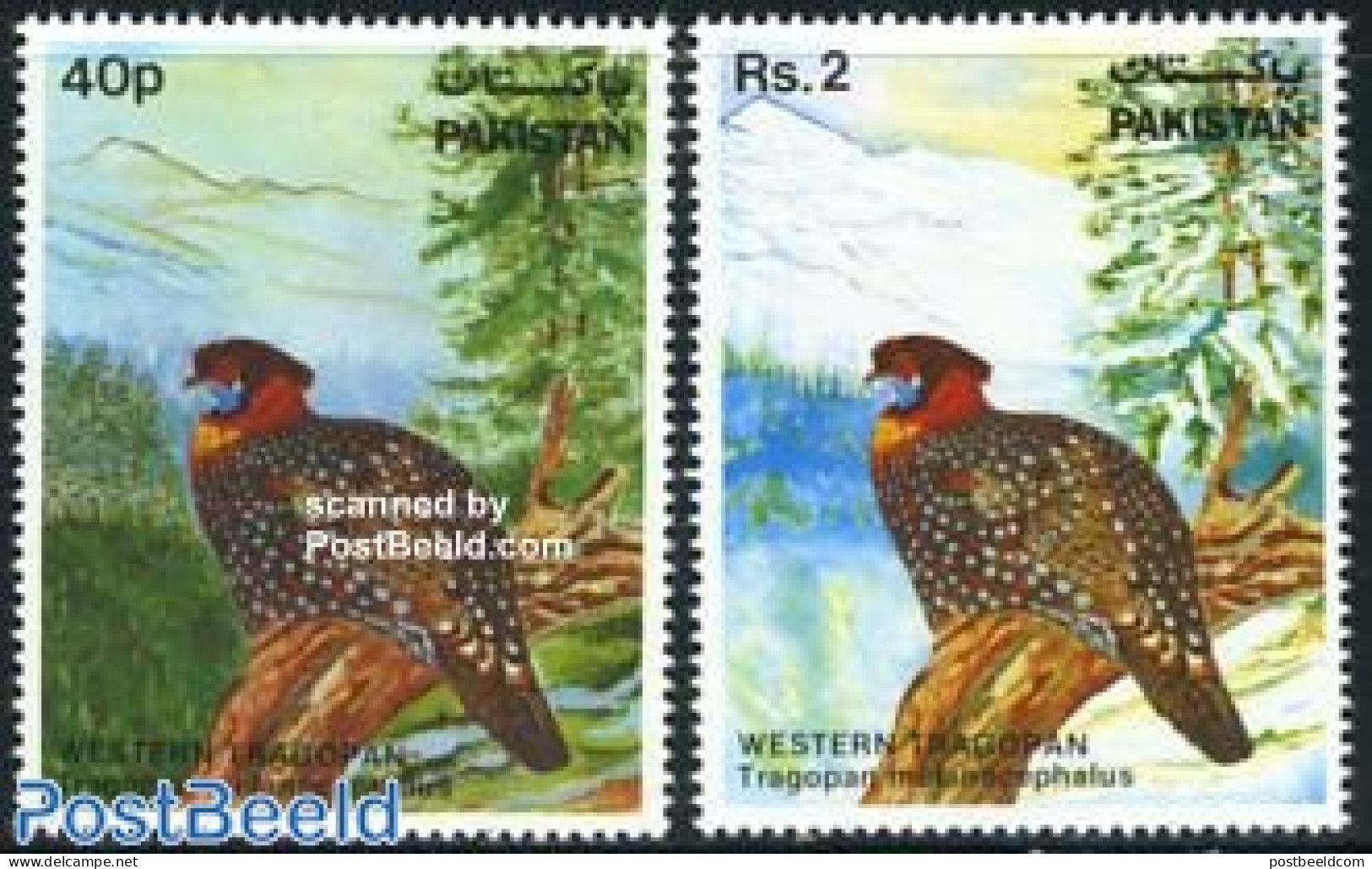 Pakistan 1981 Birds 2v, Mint NH, Nature - Birds - Pakistan