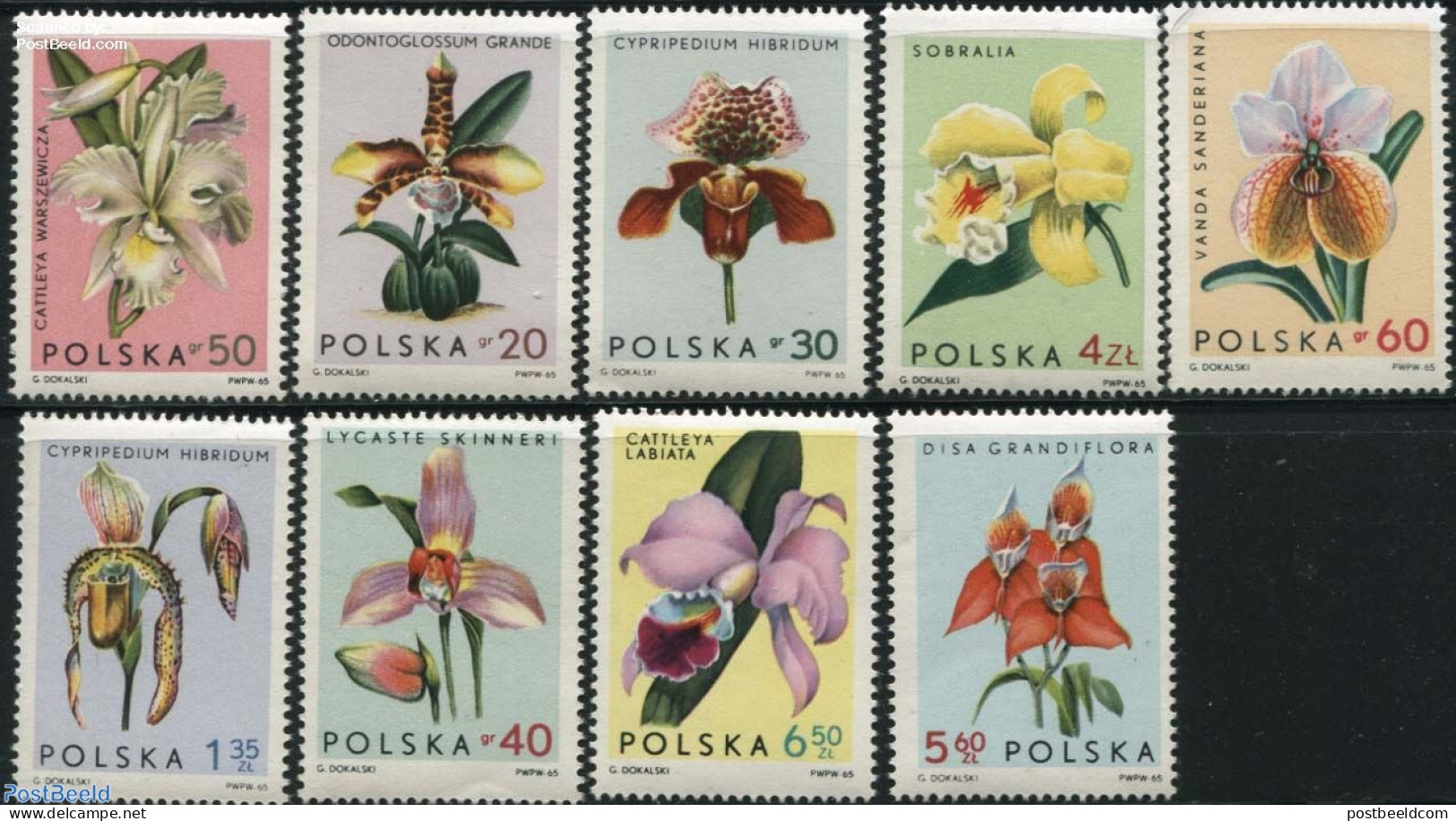 Poland 1965 Orchids 9v, Mint NH, Nature - Flowers & Plants - Orchids - Unused Stamps
