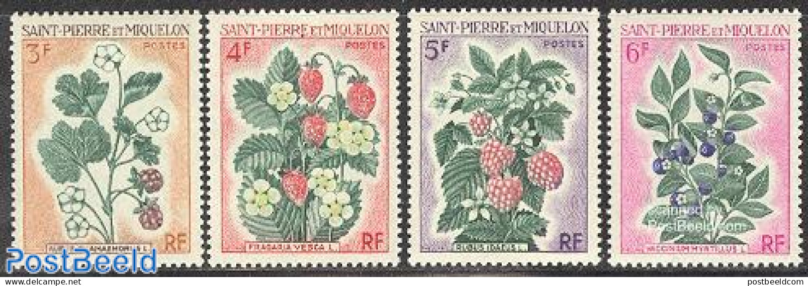 Saint Pierre And Miquelon 1970 Indigenous Fruits 4v, Mint NH, Health - Nature - Food & Drink - Flowers & Plants - Fruit - Alimentation
