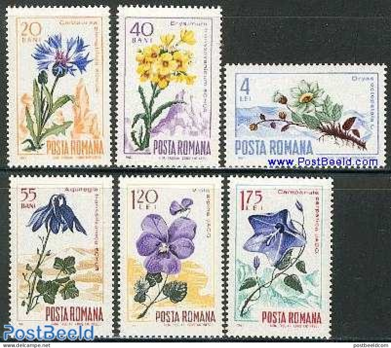 Romania 1967 Flowers 6v, Mint NH, Nature - Flowers & Plants - Unused Stamps