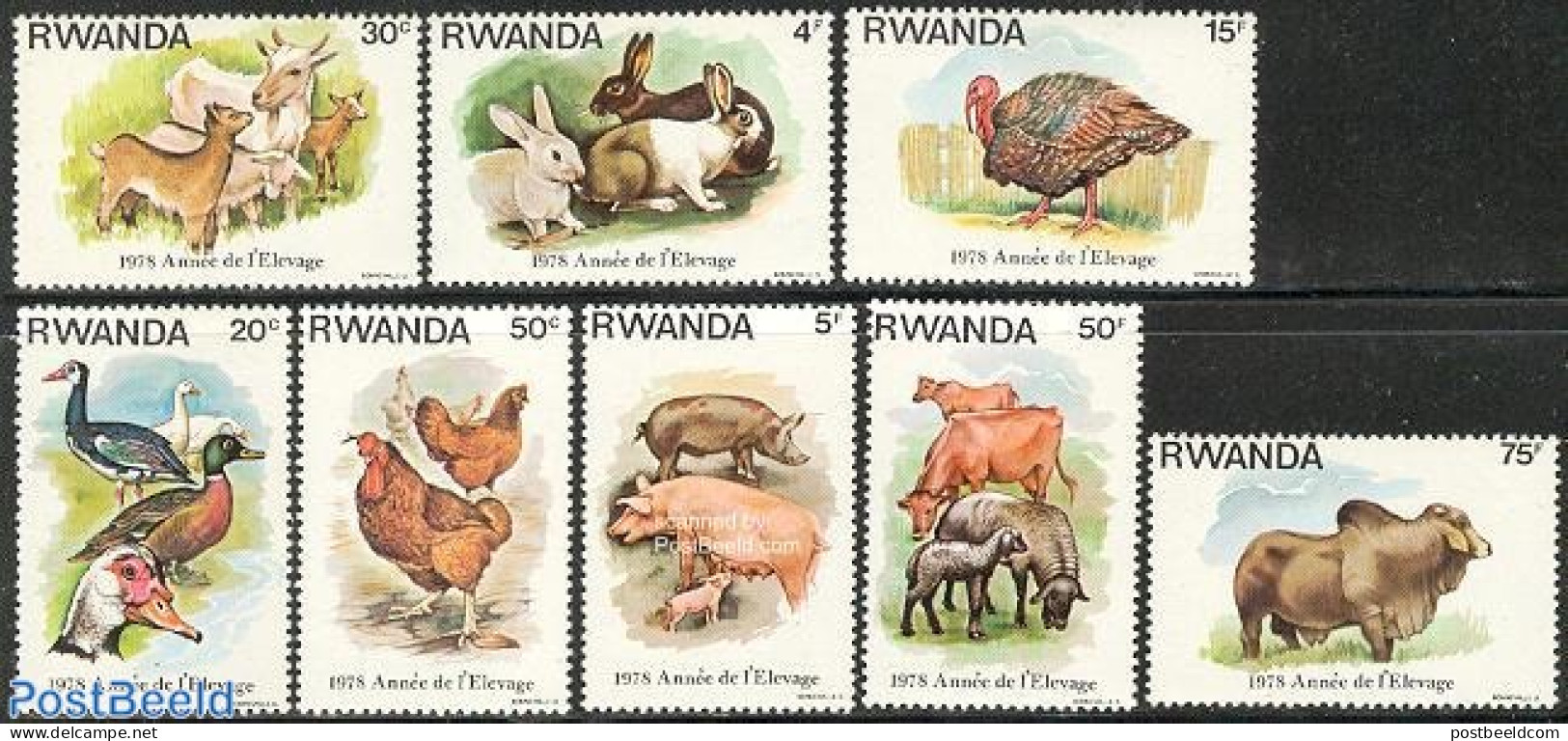Rwanda 1978 Domestic Animals 8v, Mint NH, Nature - Animals (others & Mixed) - Birds - Cattle - Ducks - Poultry - Rabbi.. - Other & Unclassified