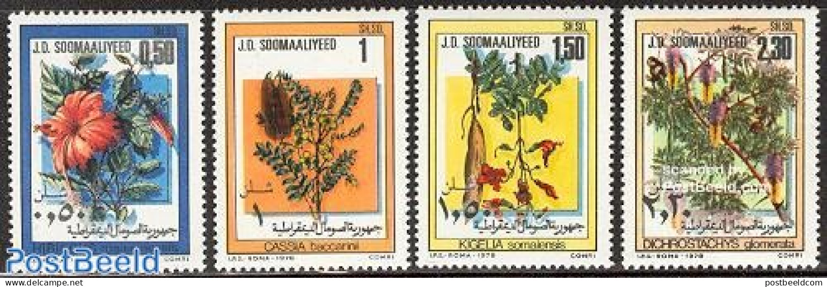 Somalia 1978 Flowers 4v, Mint NH, Nature - Flowers & Plants - Somalie (1960-...)