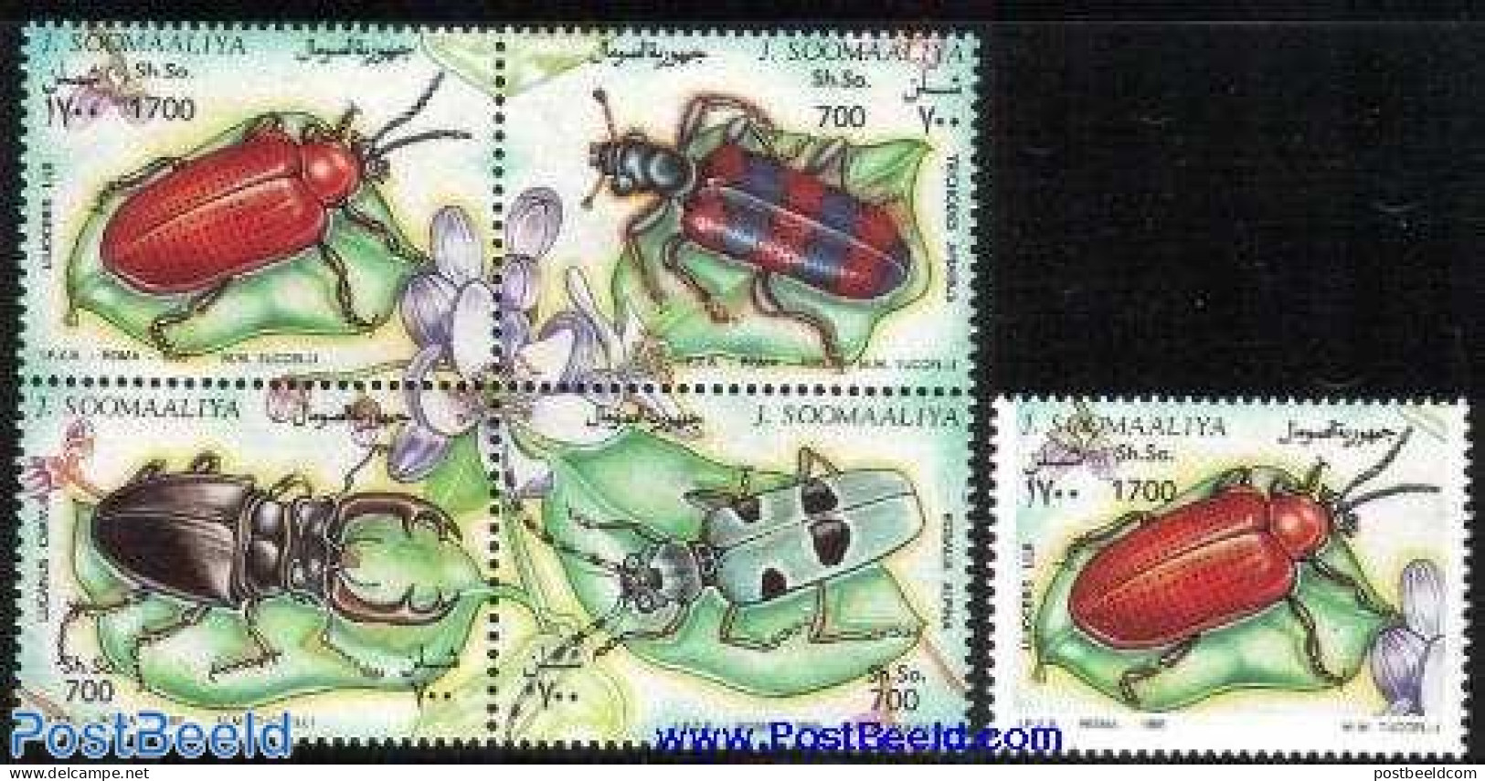 Somalia 1995 Insects 5v (1v+[+]), Mint NH, Nature - Insects - Somalia (1960-...)