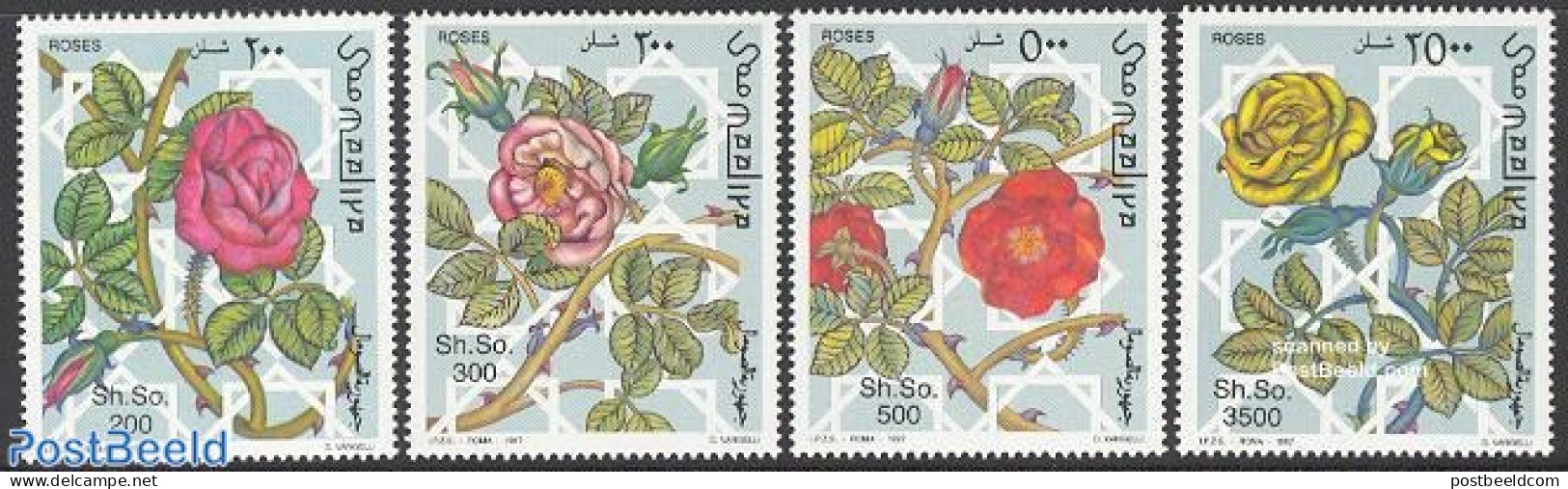 Somalia 1997 Roses 4v, Mint NH, Nature - Flowers & Plants - Roses - Somalie (1960-...)
