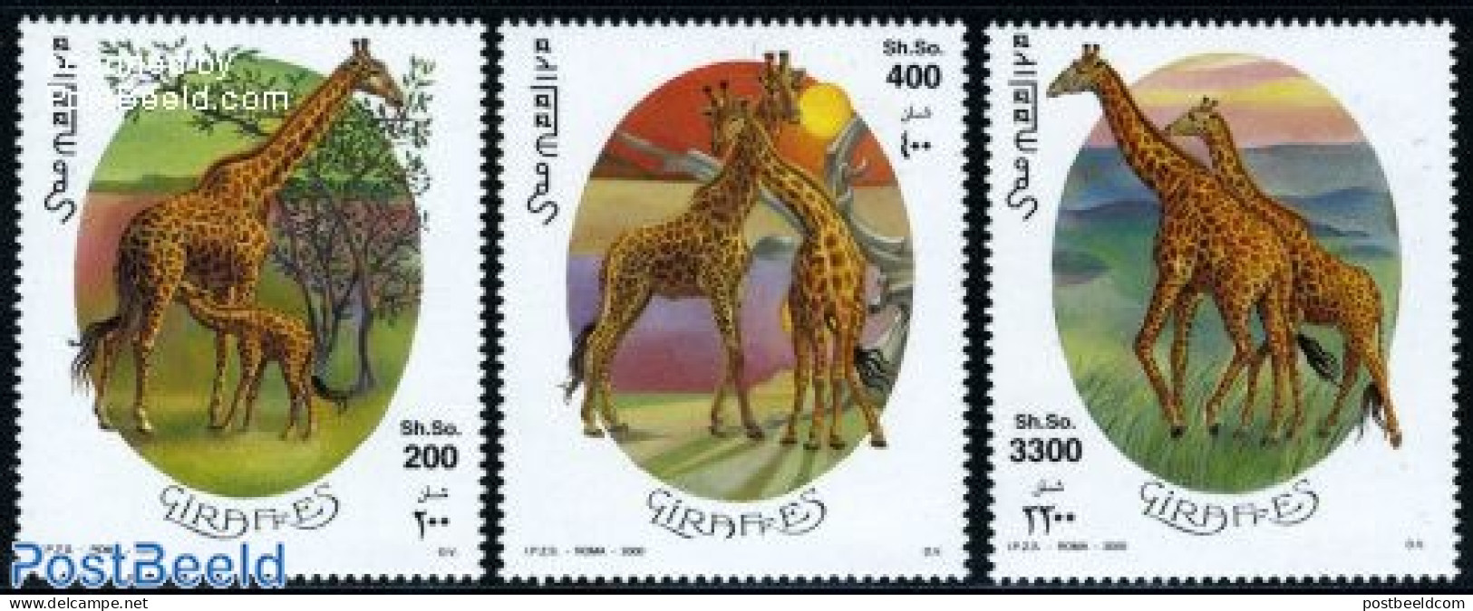 Somalia 2000 Giraffes 3v, Mint NH, Nature - Animals (others & Mixed) - Giraffe - Somalie (1960-...)