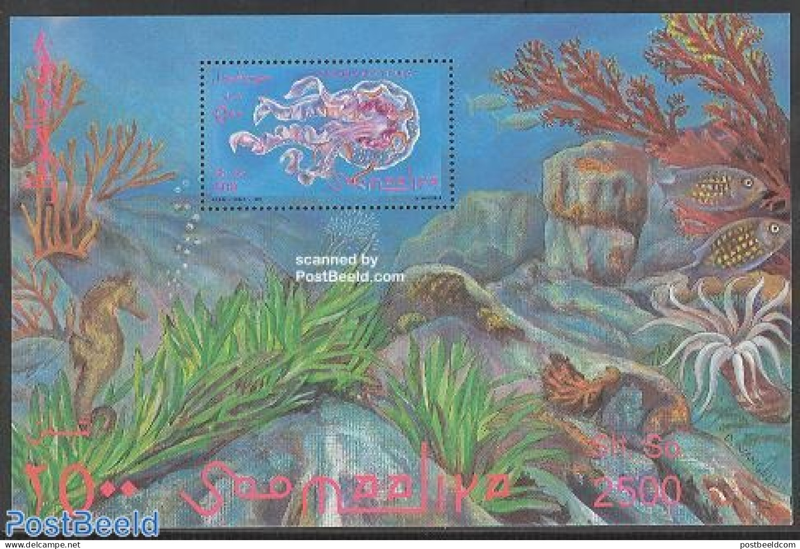 Somalia 1995 Jellyfish S/s, Mint NH, Nature - Fish - Poissons
