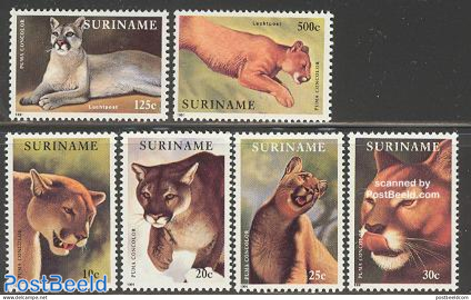 Suriname, Republic 1991 Puma 6v, Mint NH, Nature - Animals (others & Mixed) - Cat Family - Surinam