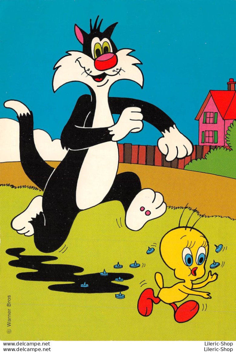 Dessin Animé TITI Et GROS MINET (Tweety & Sylvester) Warner Bros Titi Sème Des Clous # Chat # Canari # - Séries TV