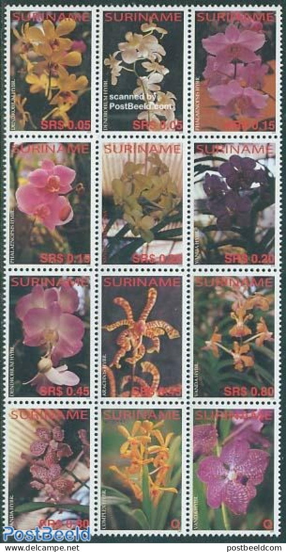 Suriname, Republic 2006 Orchids 12v, Mint NH, Nature - Flowers & Plants - Orchids - Suriname