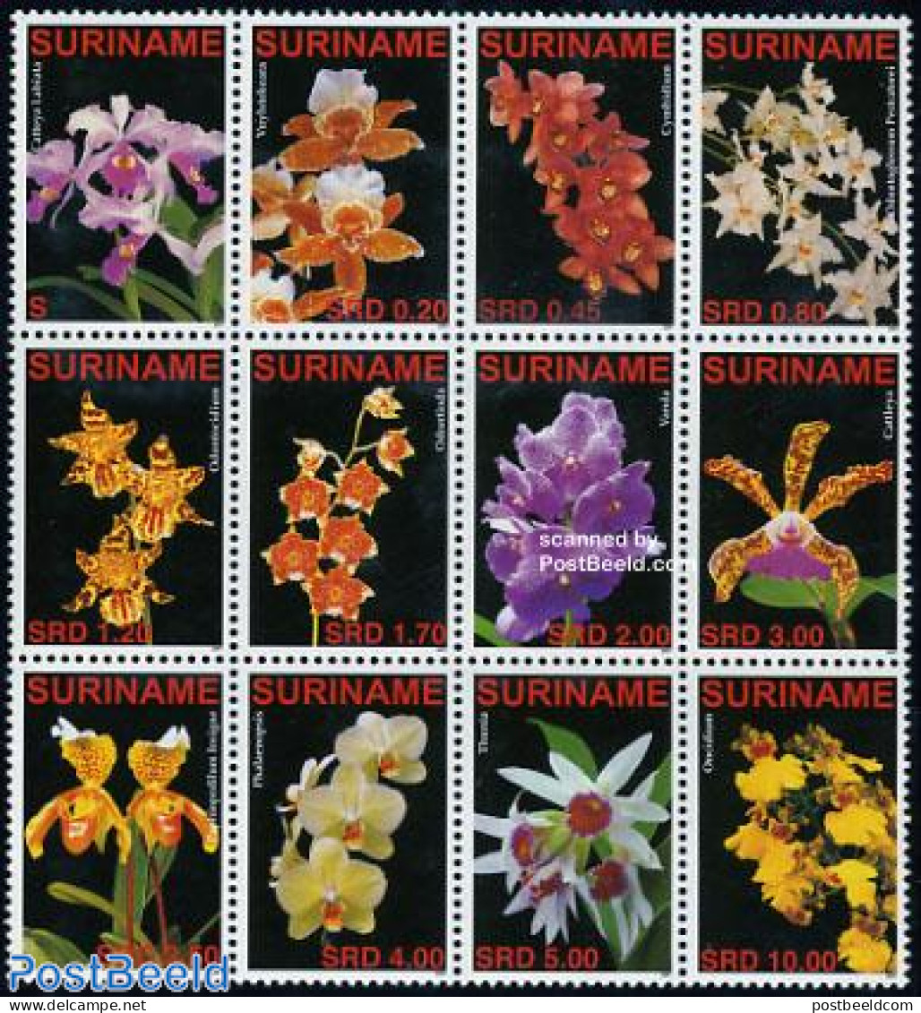 Suriname, Republic 2007 Orchids 12v Sheetlet, Mint NH, Nature - Flowers & Plants - Orchids - Surinam