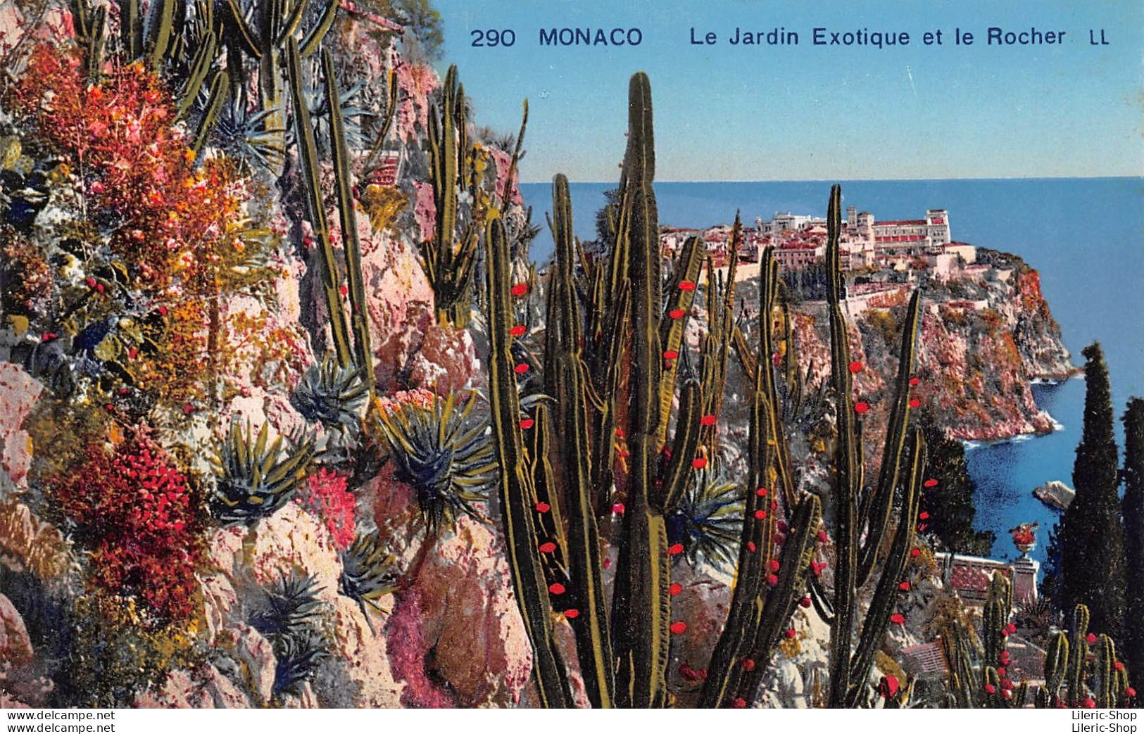MONACO Le Jardin Exotique Et Le Rocher LL - Exotische Tuin