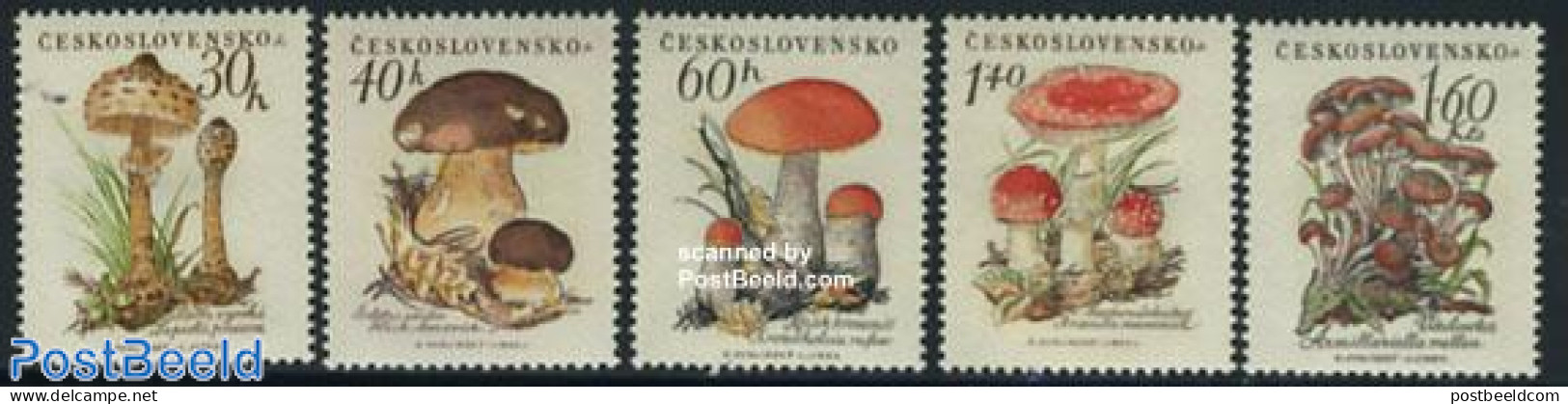 Czechoslovkia 1958 Mushrooms 5v, Mint NH, Nature - Mushrooms - Autres & Non Classés