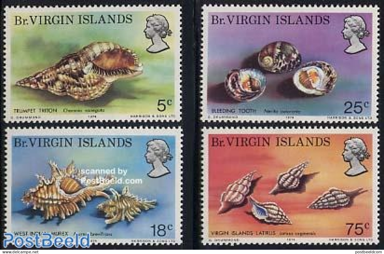 Virgin Islands 1974 Shells 4v, Mint NH, Nature - Shells & Crustaceans - Vie Marine