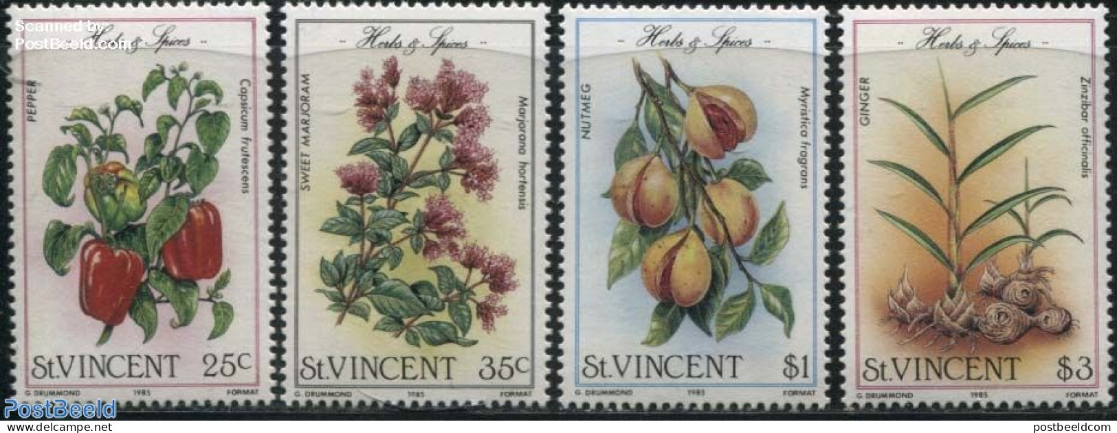 Saint Vincent 1985 Flowers & Fruits 4v, Mint NH, Nature - Flowers & Plants - Fruit - Fruits
