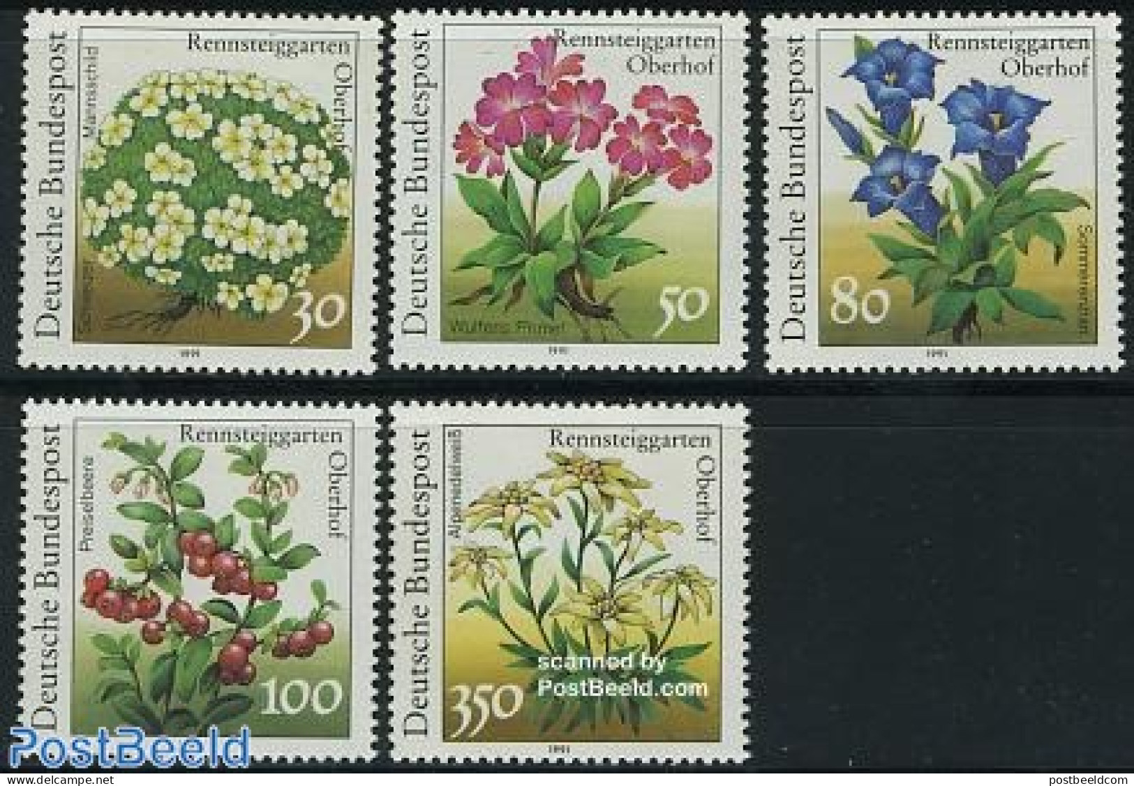 Germany, Federal Republic 1991 Flowers From Oberhof Garten 5v, Mint NH, Nature - Flowers & Plants - Unused Stamps