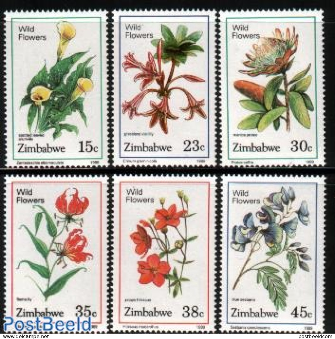 Zimbabwe 1989 Flowers 6v, Mint NH, Nature - Flowers & Plants - Zimbabwe (1980-...)