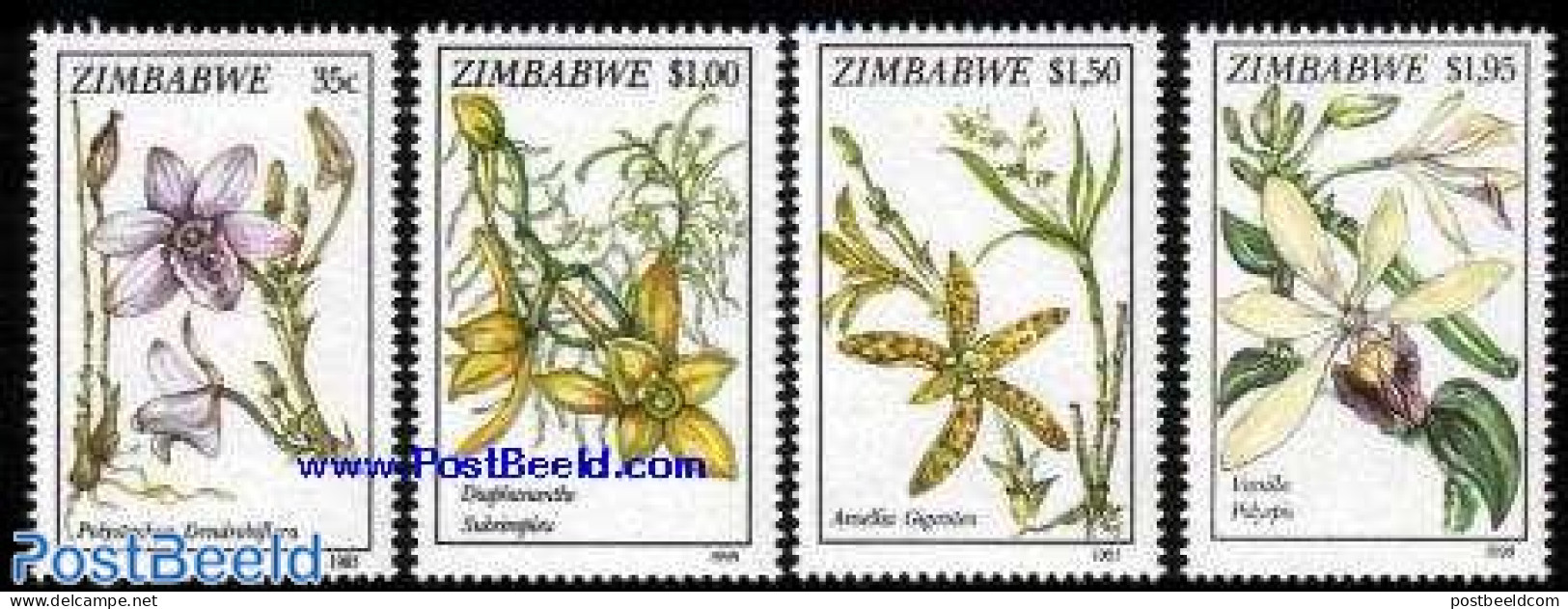 Zimbabwe 1993 Orchids 4v, Mint NH, Nature - Flowers & Plants - Orchids - Zimbabwe (1980-...)