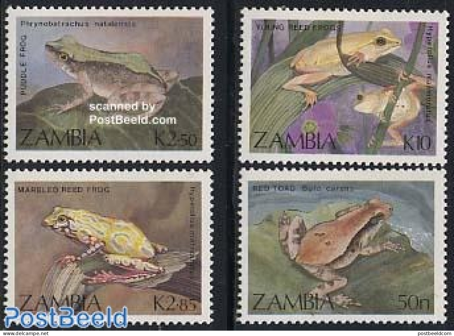 Zambia 1989 Frogs 4v, Mint NH, Nature - Frogs & Toads - Reptiles - Zambia (1965-...)