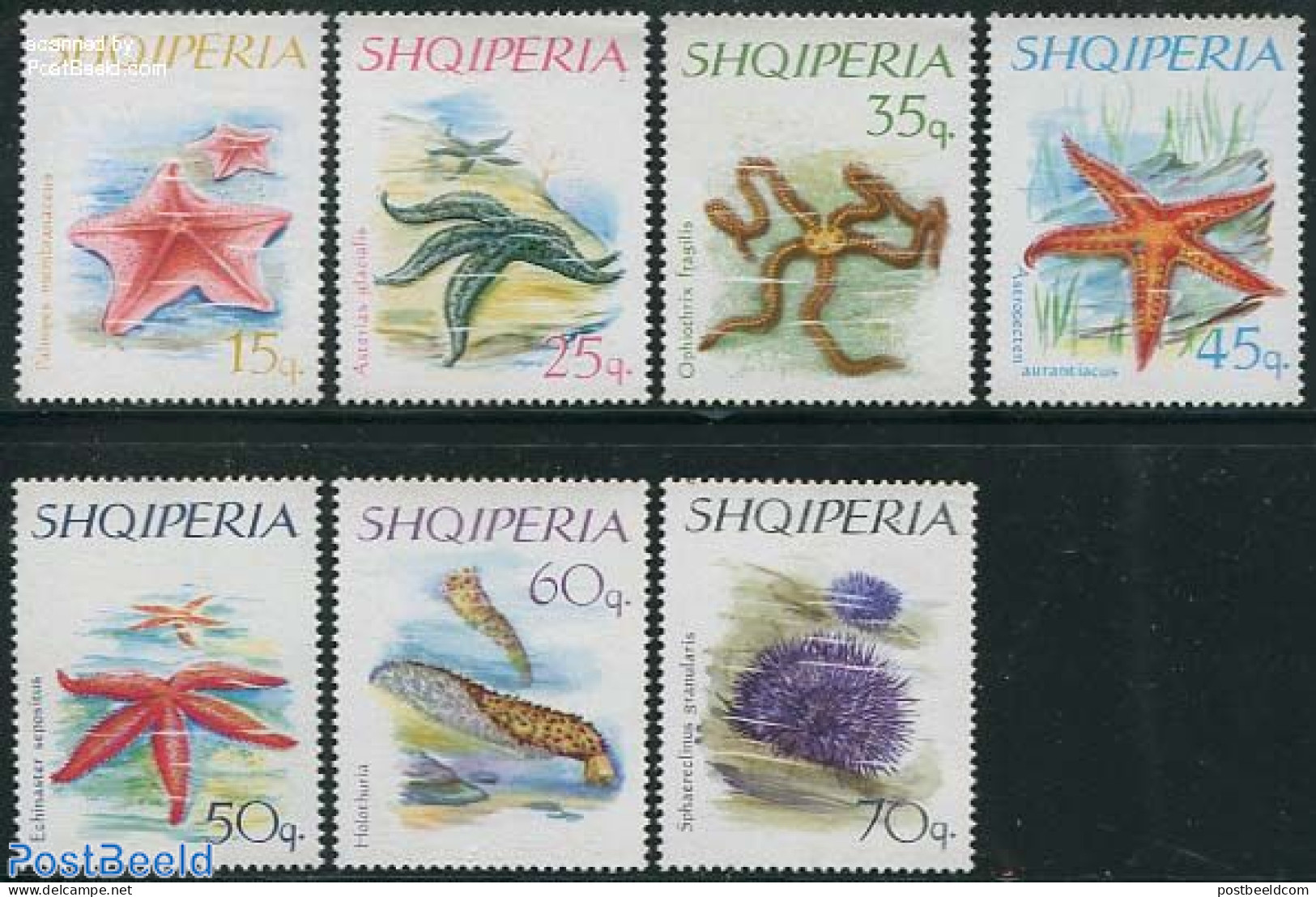 Albania 1966 Marine Life 7v, Mint NH, Nature - Shells & Crustaceans - Marine Life