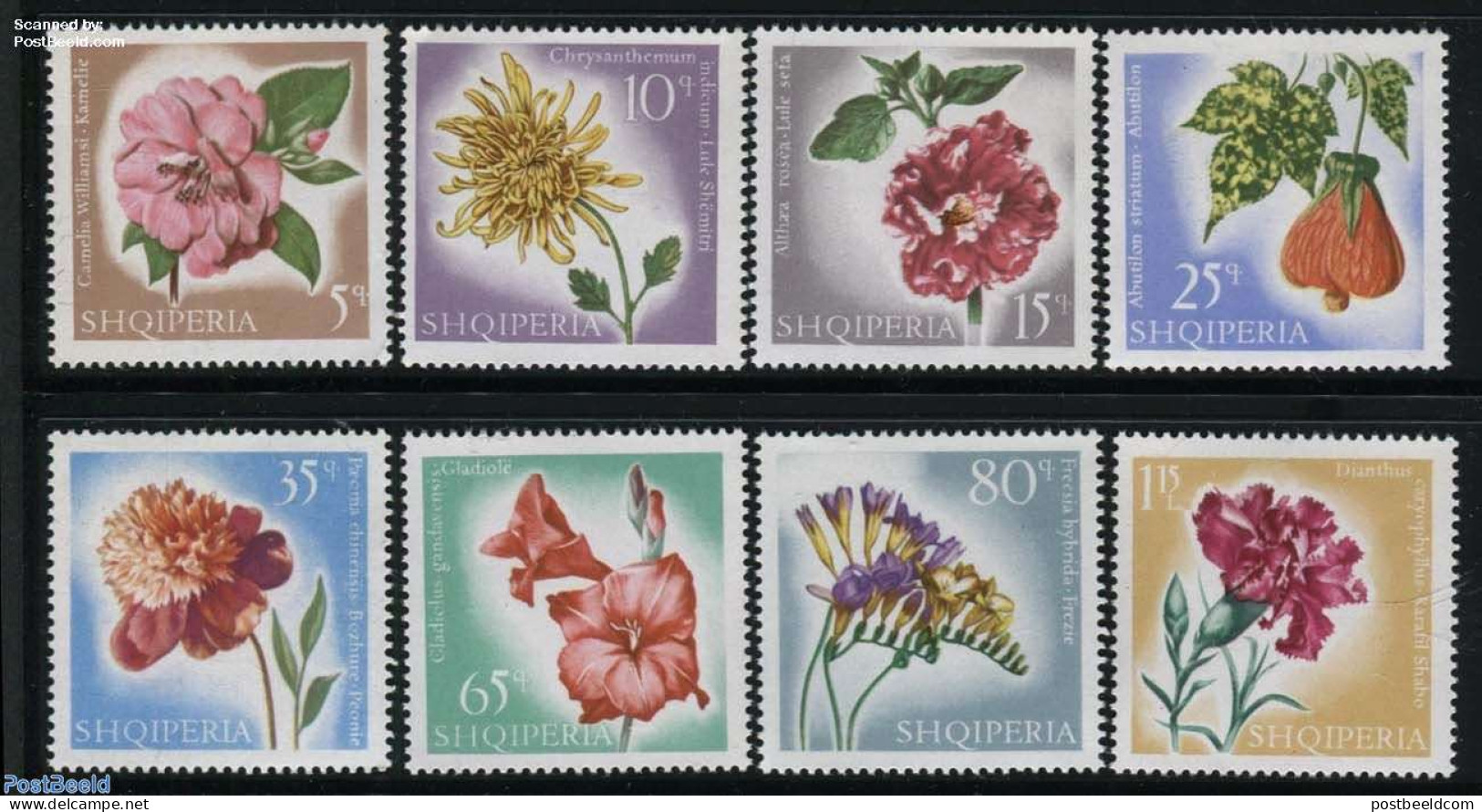 Albania 1967 Flowers 8v, Mint NH, Nature - Flowers & Plants - Albanië