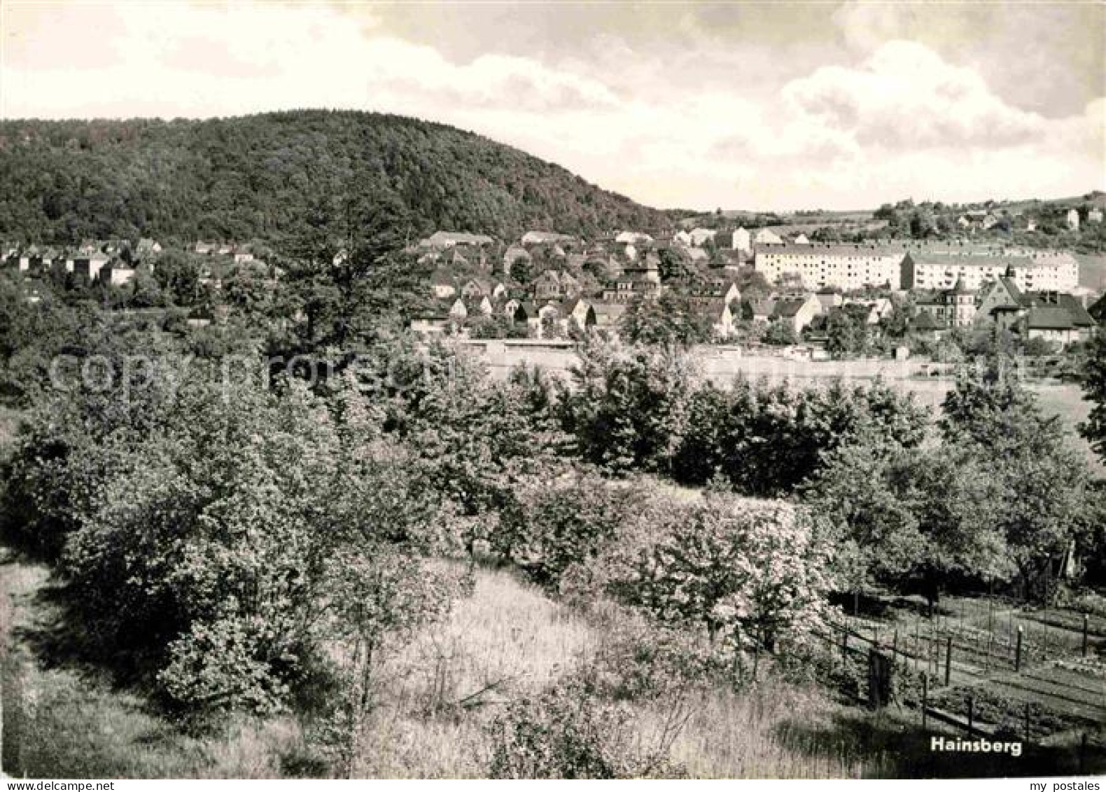 72638382 Hainsberg Sachsen Panorama  Hainsberg Sachsen - Freital