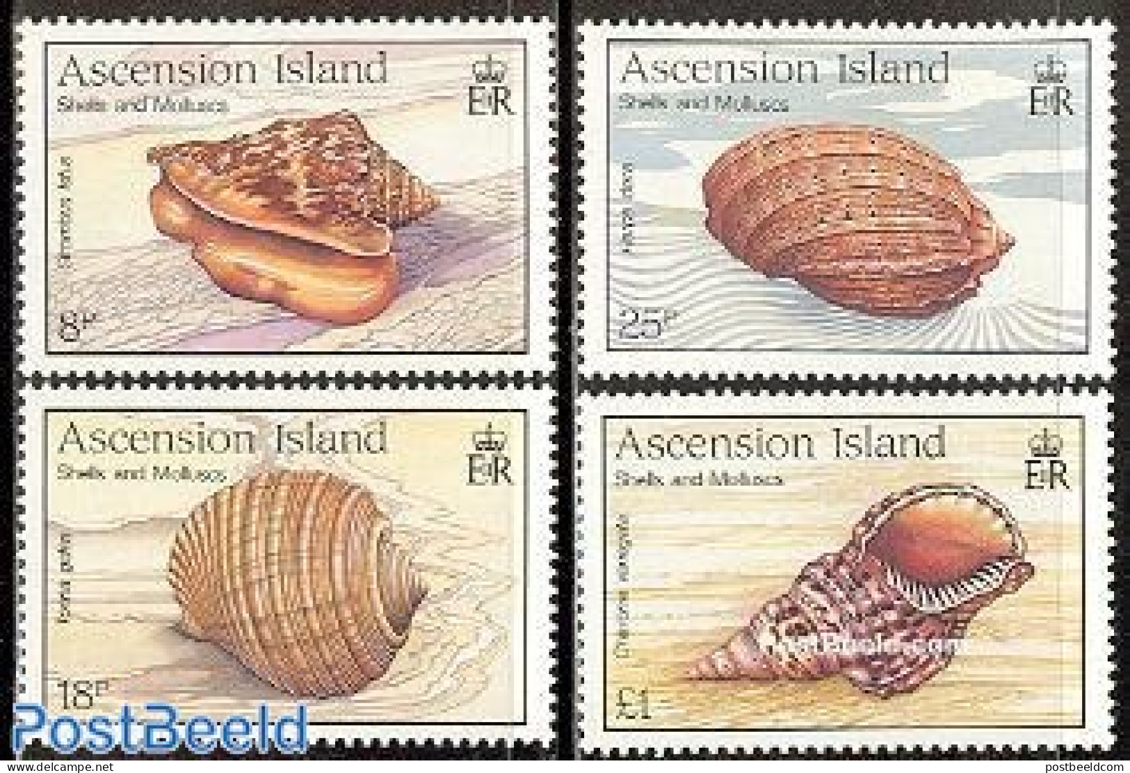 Ascension 1989 Shells 4v, Mint NH, Nature - Shells & Crustaceans - Marine Life