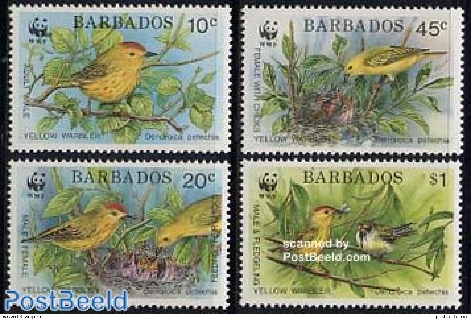 Barbados 1991 WWF, Birds 4v, Mint NH, Nature - Birds - World Wildlife Fund (WWF) - Barbades (1966-...)