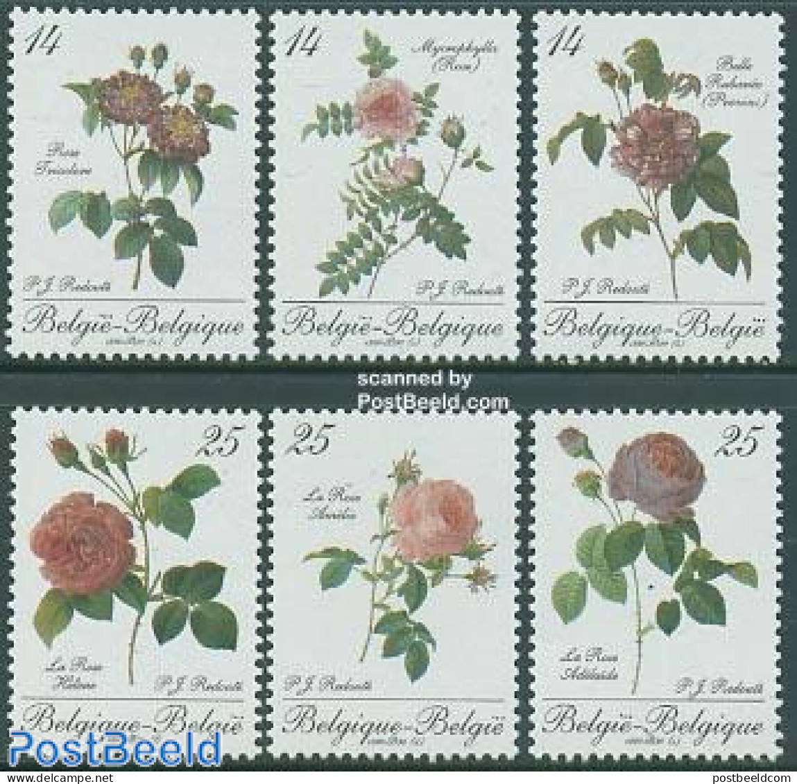 Belgium 1990 Roses 6v (from S/s), Mint NH, Nature - Flowers & Plants - Roses - Ongebruikt