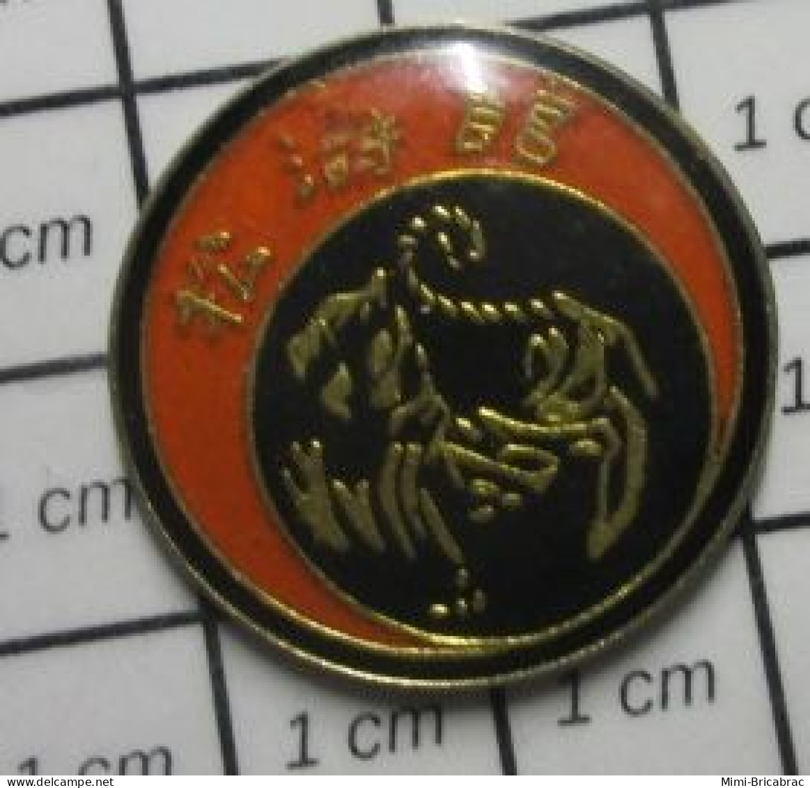 711e Pin's Pins : BEAU ET RARE : ANIMAUX / TIGRE ASIATIQUE CLUB ARTS MARTIAUX - Tiere