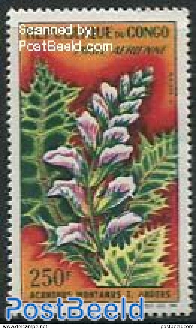 Congo Republic 1963 Flowers 1v, Mint NH, Nature - Flowers & Plants - Andere & Zonder Classificatie