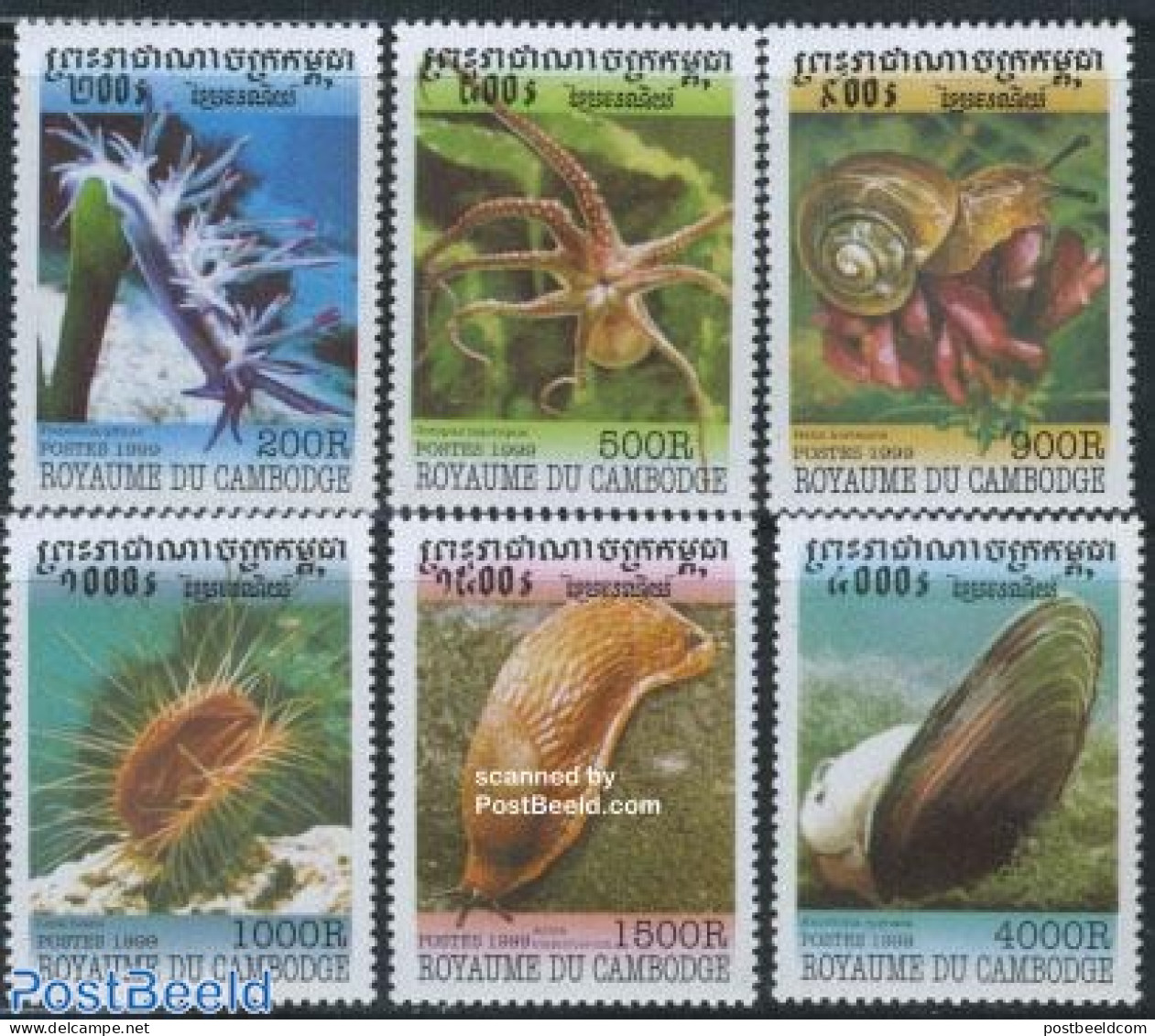 Cambodia 1999 Moluscs 6v, Mint NH, Nature - Shells & Crustaceans - Marine Life