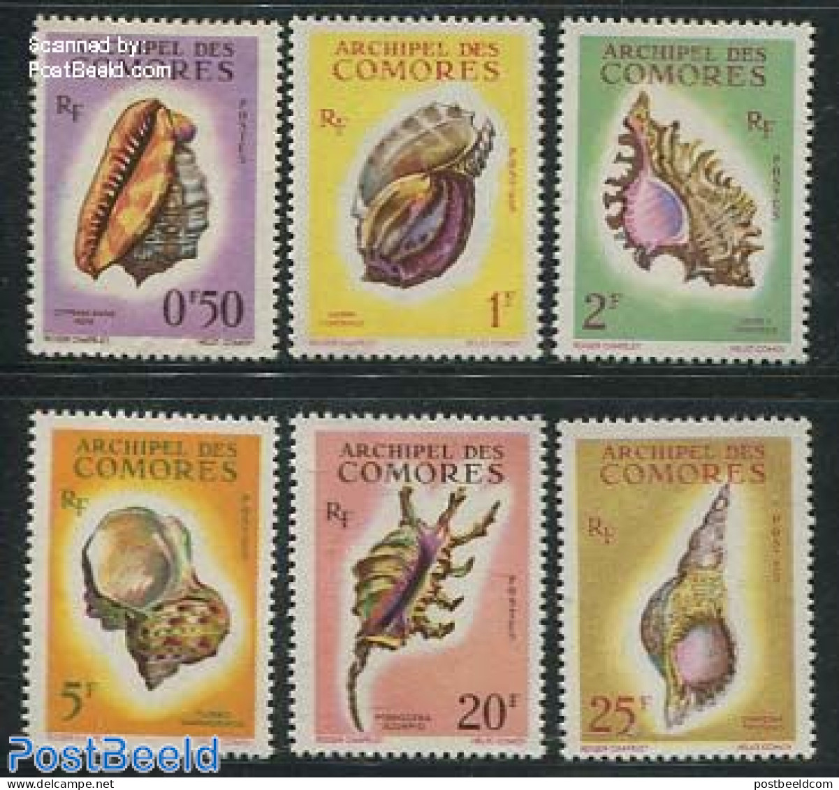 Comoros 1962 Shells 6v, Mint NH, Nature - Shells & Crustaceans - Marine Life