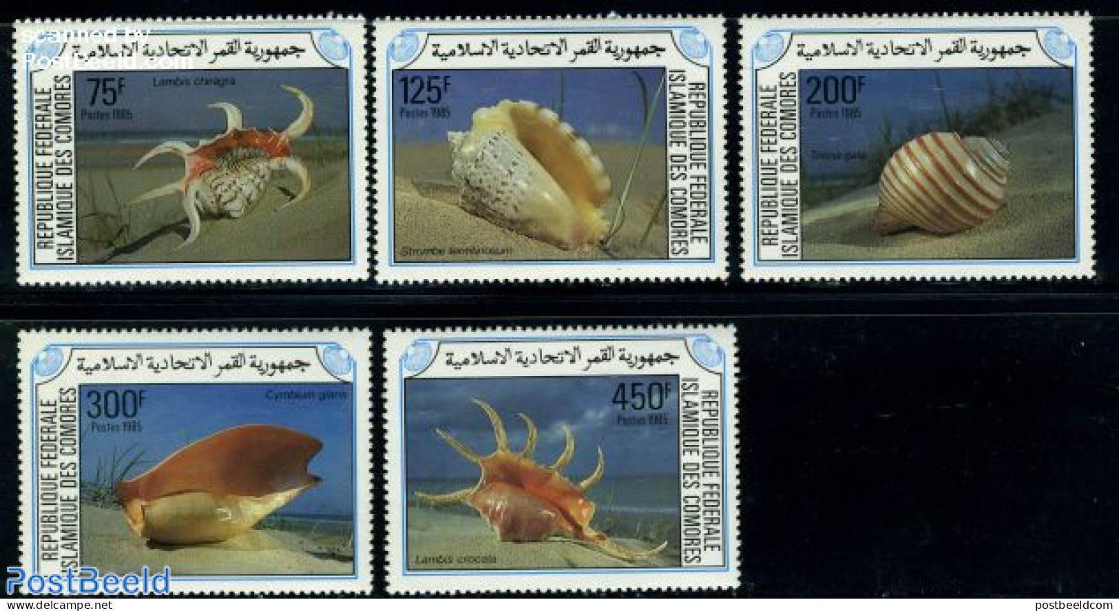 Comoros 1985 Shells 5v, Mint NH, Nature - Shells & Crustaceans - Vie Marine