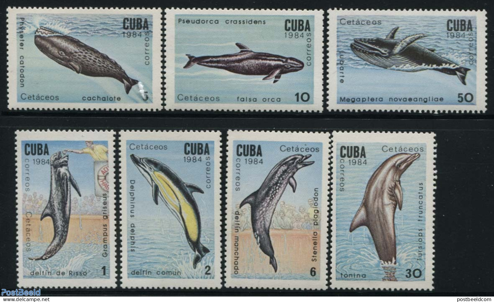 Cuba 1984 Whales & Dolphins 7v, Mint NH, Nature - Sea Mammals - Ongebruikt