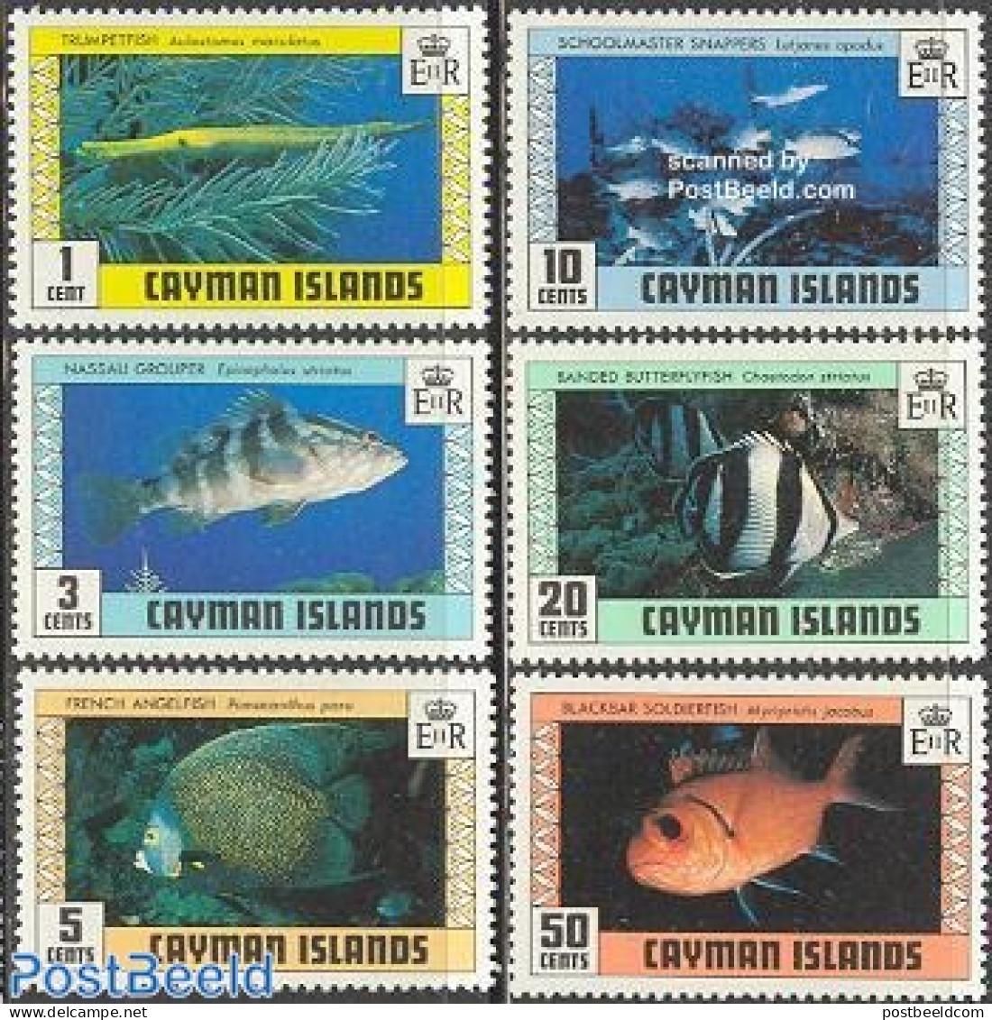 Cayman Islands 1979 Fish 6v, Mint NH, Nature - Fish - Poissons