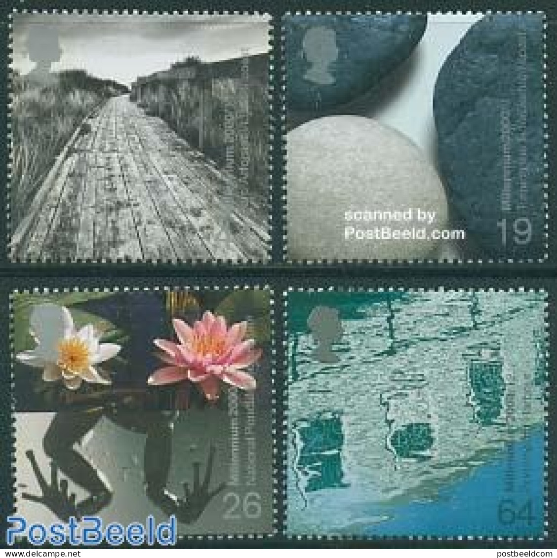 Great Britain 2000 Millennium, Water & Coasts 4v, Mint NH, Nature - Flowers & Plants - Frogs & Toads - Water, Dams & F.. - Other & Unclassified