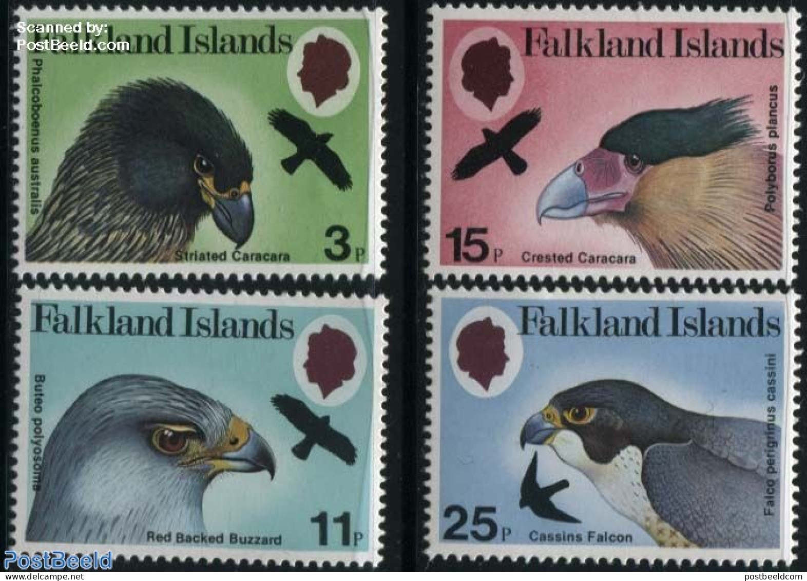 Falkland Islands 1980 Birds Of Prey 4v, Mint NH, Nature - Birds - Birds Of Prey - Sonstige & Ohne Zuordnung