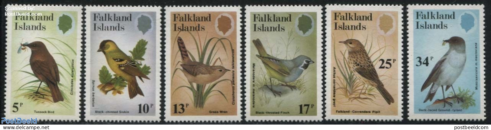 Falkland Islands 1982 Birds 6v, Mint NH, Nature - Birds - Autres & Non Classés