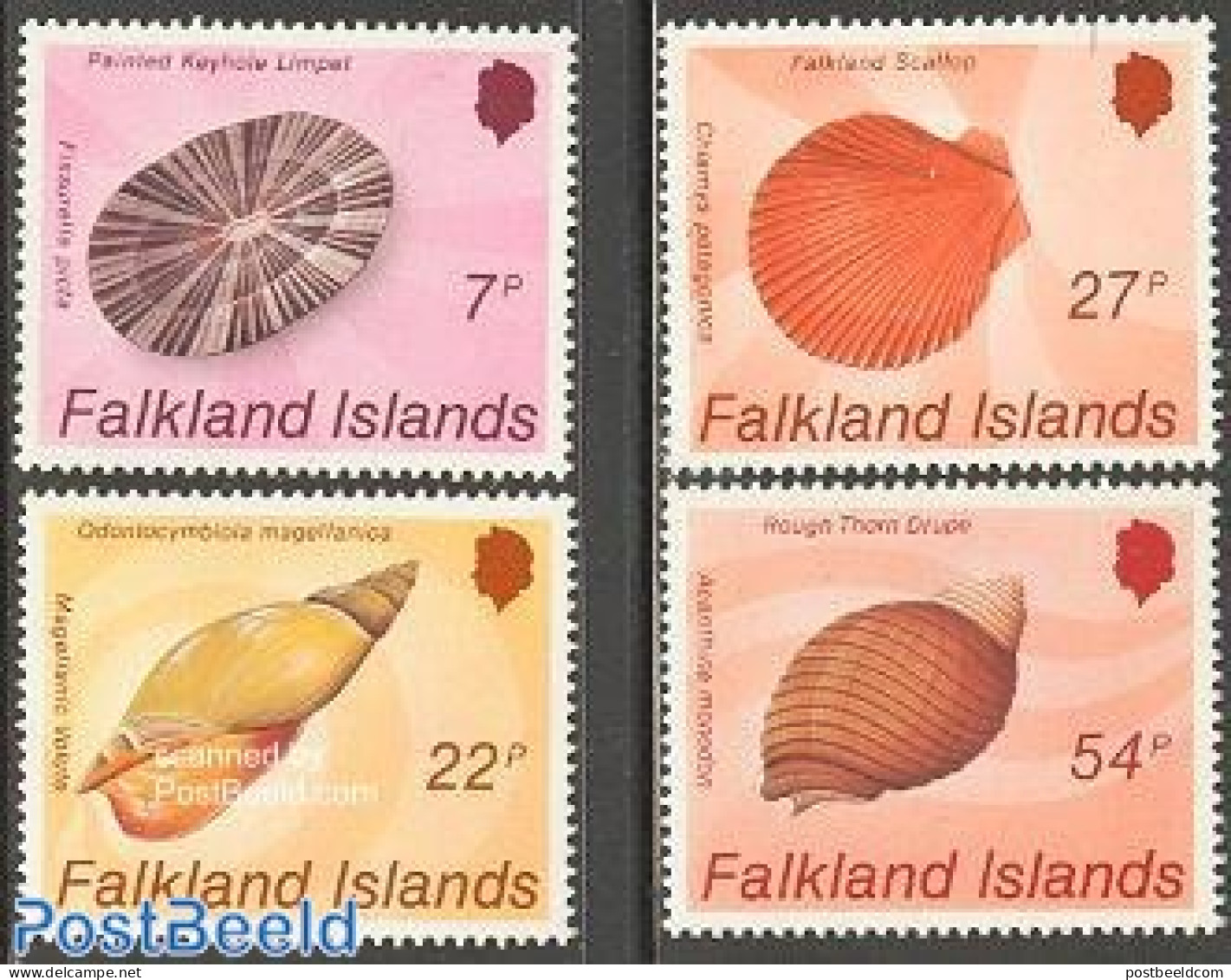 Falkland Islands 1986 Shells 4v, Mint NH, Nature - Shells & Crustaceans - Vie Marine