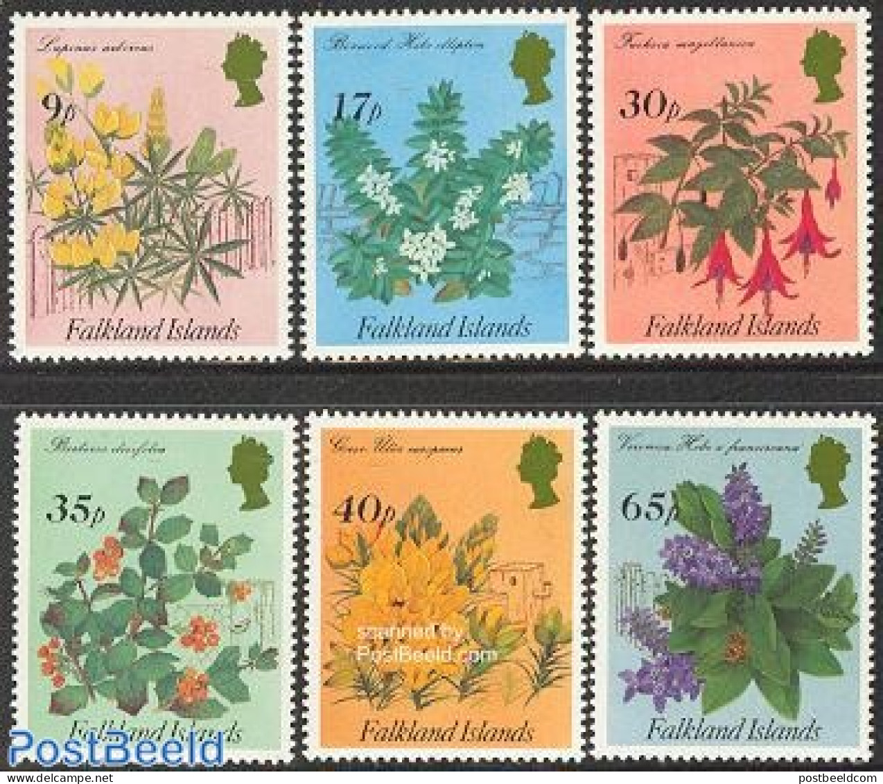 Falkland Islands 1995 Flowers 6v, Mint NH, Nature - Flowers & Plants - Andere & Zonder Classificatie