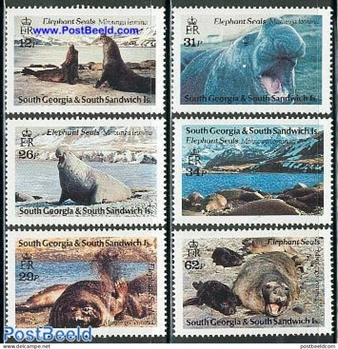 South Georgia / Falklands Dep. 1991 Sea Elephant 6v, Mint NH, Nature - Sea Mammals - Andere & Zonder Classificatie